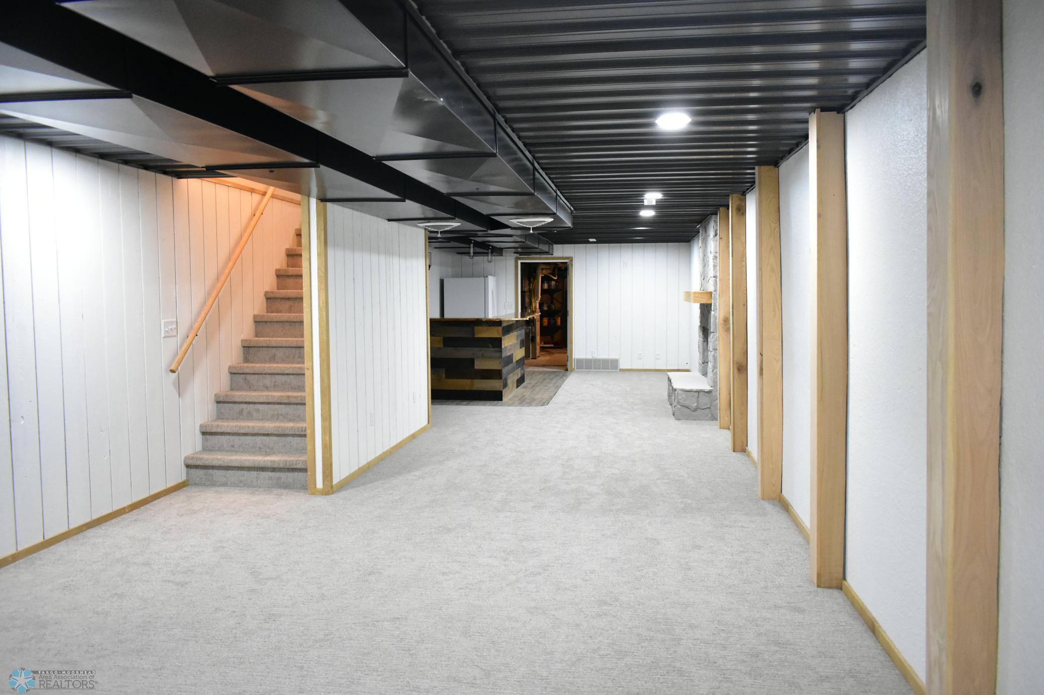 Basement Living Room