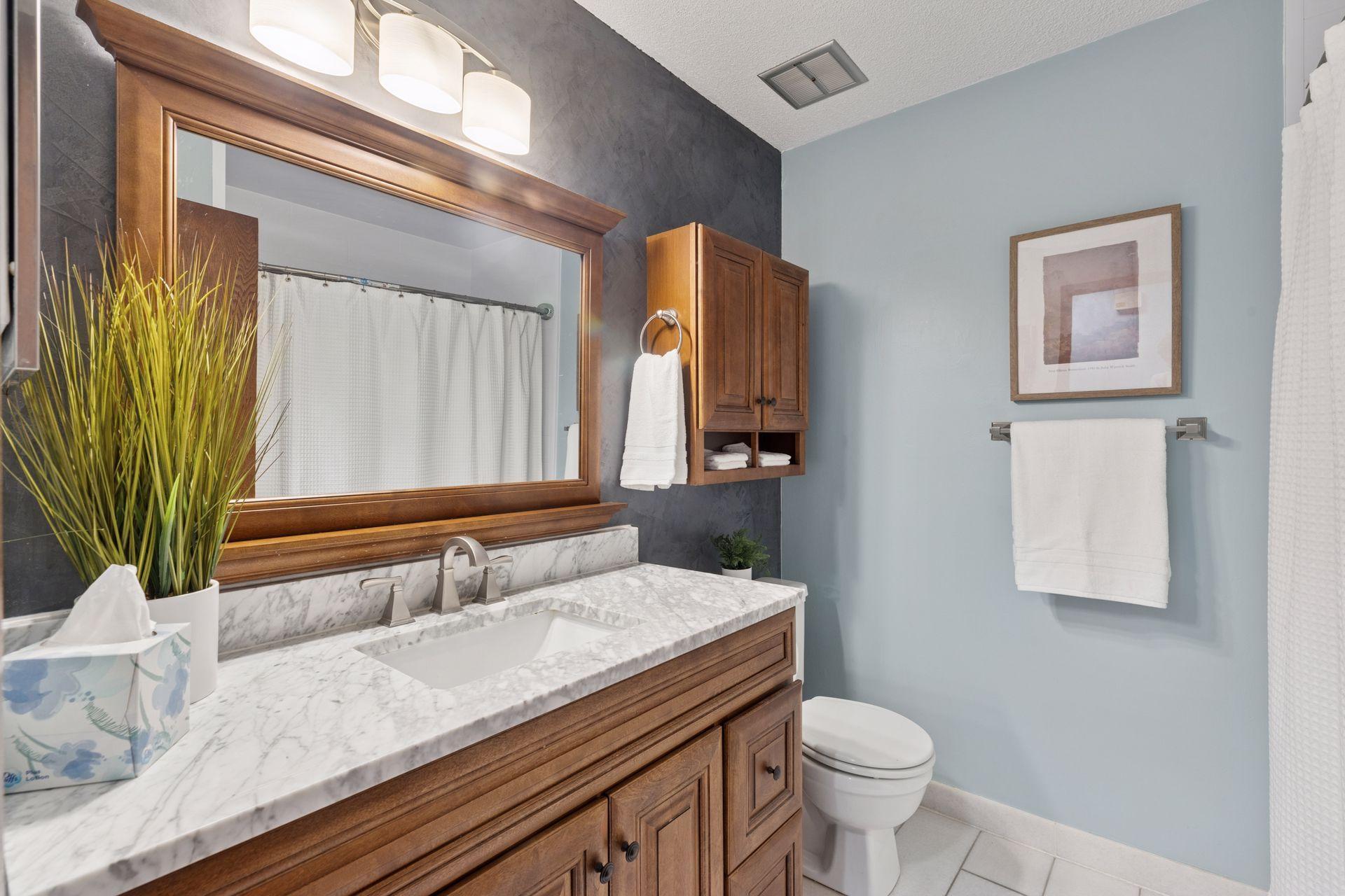 Main Floor Hallway Full Bathroom.
