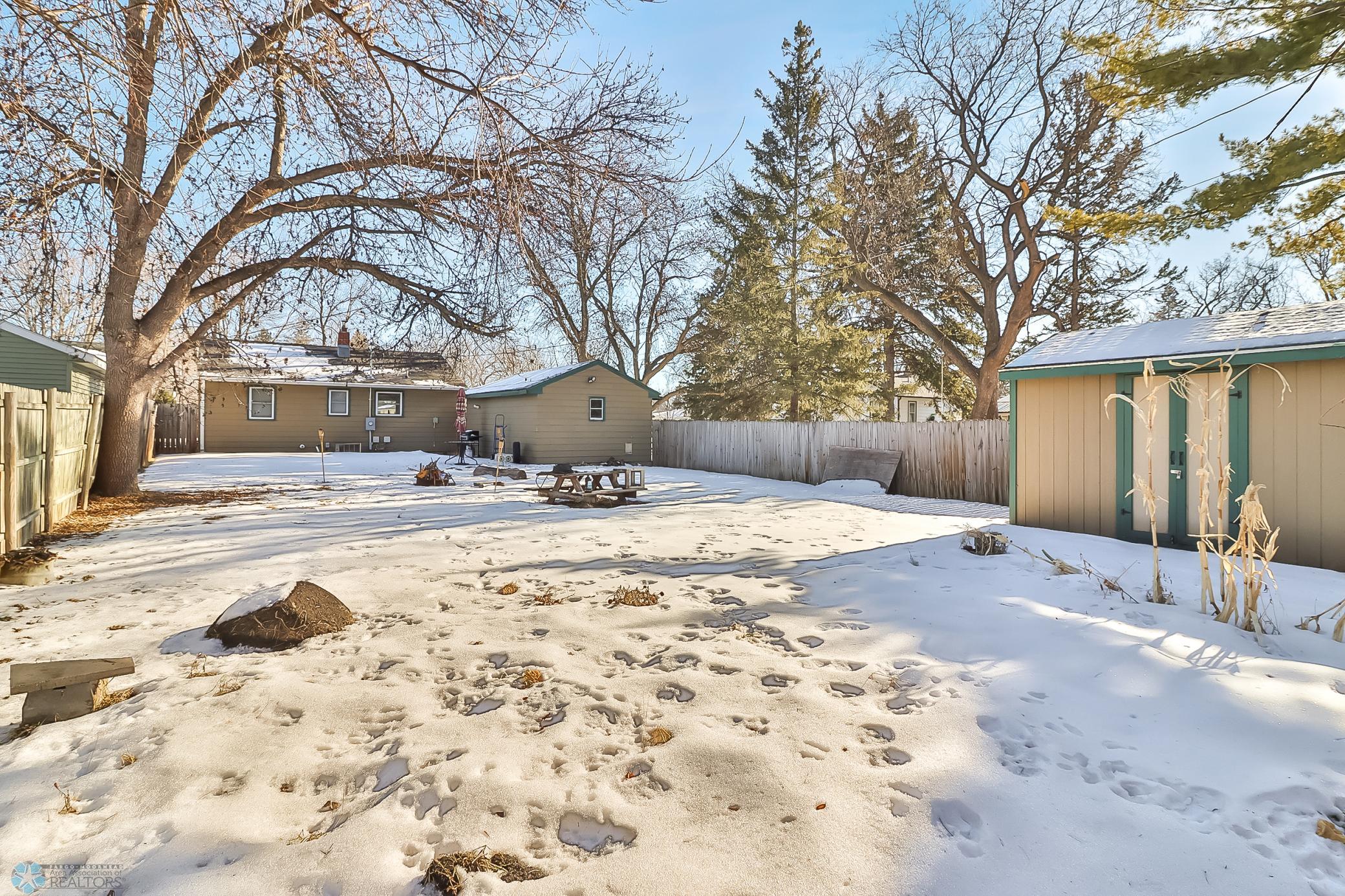 Backyard1_4.jpg