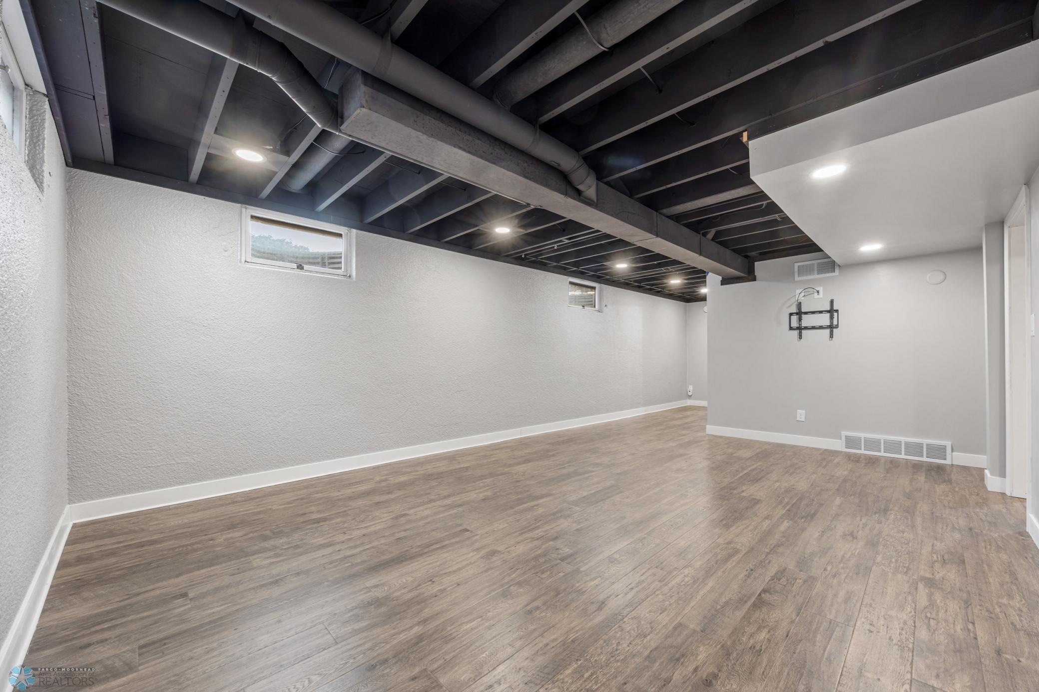 Bonus room_lower level