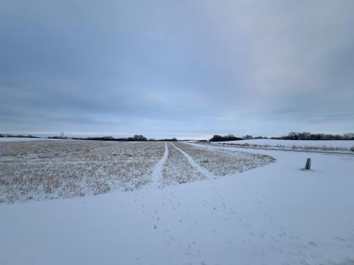 28413 Kaffitz Road, Red Wing, MN 55066
