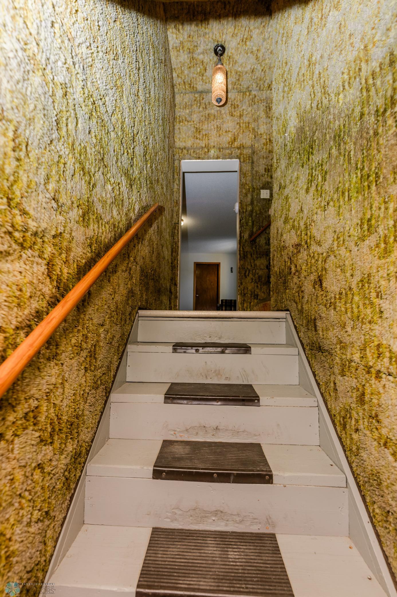Steps to Basement - Yes carpet on walls!