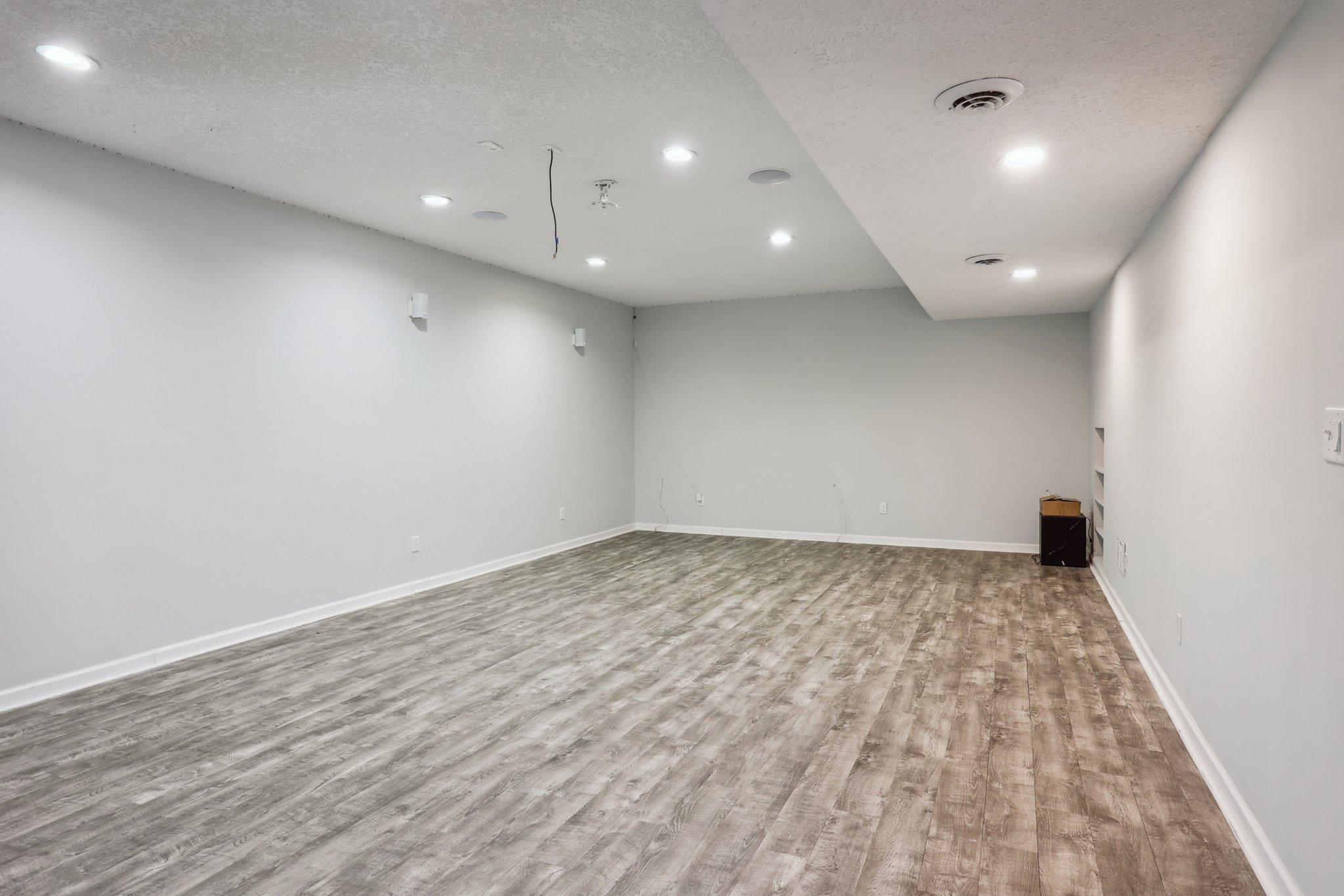 Lower Level Family Room