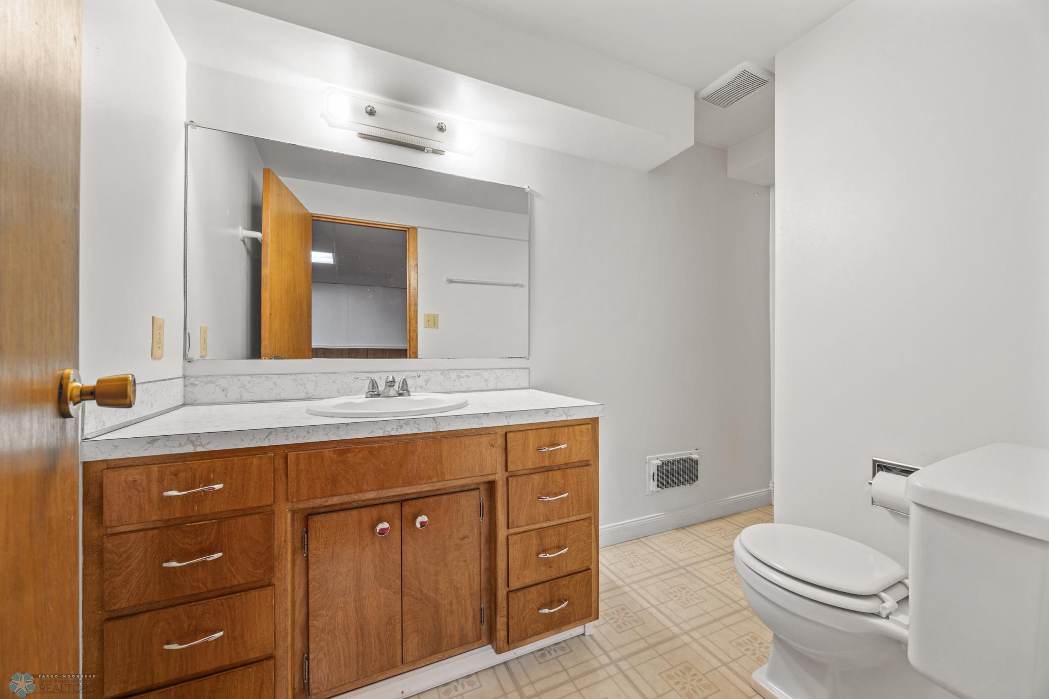 Lower level bathroom