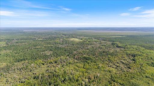 Photo for XXX 1262ac Pine Island State Forest, Big Falls, MN 56627 - Listing #6655621 XXX 1262ac Pine Island State Forest, Big Falls, MN 56627