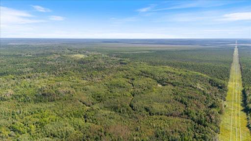Photo for XXX 1262ac Pine Island State Forest, Big Falls, MN 56627 - Listing #6655621 XXX 1262ac Pine Island State Forest, Big Falls, MN 56627