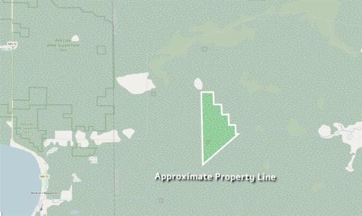 Photo for XXX 1262ac Pine Island State Forest, Big Falls, MN 56627 - Listing #6655621 35-Approximate Property Lines (Basic Map).png