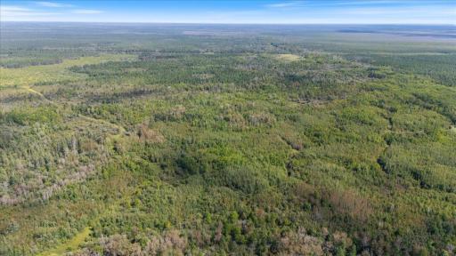 Photo for XXX 1262ac Pine Island State Forest, Big Falls, MN 56627 - Listing #6655621 XXX 1262ac Pine Island State Forest, Big Falls, MN 56627