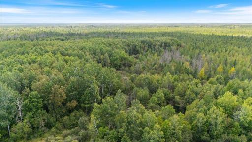 Photo for XXX 1262ac Pine Island State Forest, Big Falls, MN 56627 - Listing #6655621 XXX 1262ac Pine Island State Forest, Big Falls, MN 56627