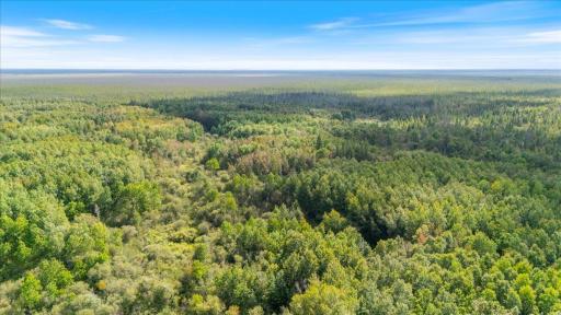 Photo for XXX 1262ac Pine Island State Forest, Big Falls, MN 56627 - Listing #6655621 XXX 1262ac Pine Island State Forest, Big Falls, MN 56627