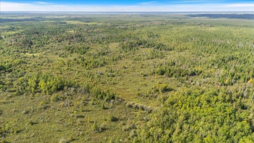 Photo for XXX 1262ac Pine Island State Forest, Big Falls, MN 56627 - Listing #6655621 XXX 1262ac Pine Island State Forest, Big Falls, MN 56627