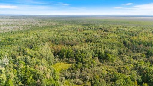 Photo for XXX 1262ac Pine Island State Forest, Big Falls, MN 56627 - Listing #6655621 XXX 1262ac Pine Island State Forest, Big Falls, MN 56627