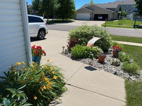 Perennials