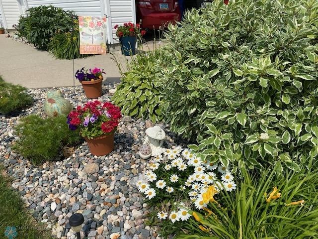 Perennials