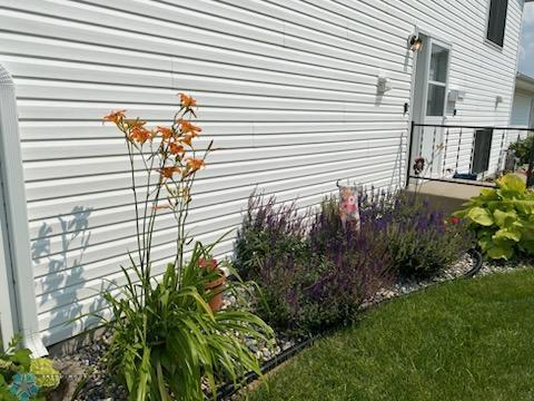 Perennials