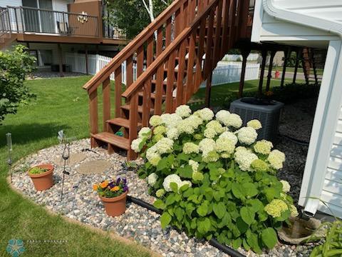 Perennials