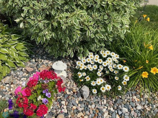 Perennials