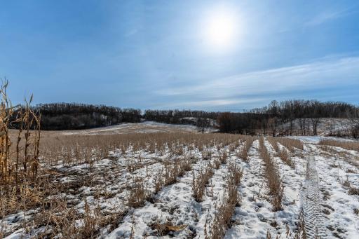Xxxxx 200th Street, Battle Lake, MN 56515