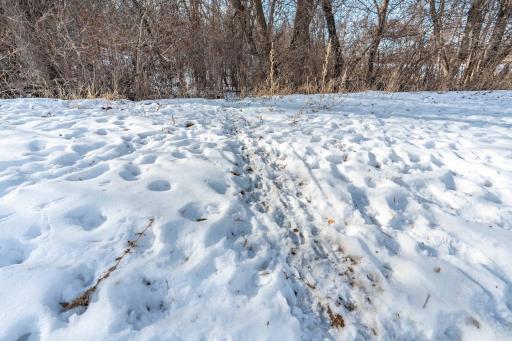 Xxxxx 200th Street, Battle Lake, MN 56515