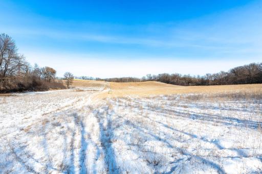 Xxxxx 200th Street, Battle Lake, MN 56515