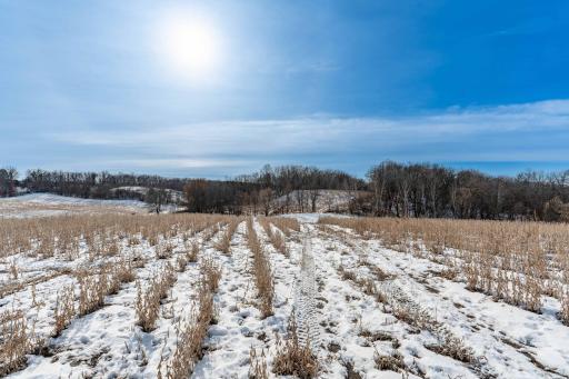 Xxxxx 200th Street, Battle Lake, MN 56515