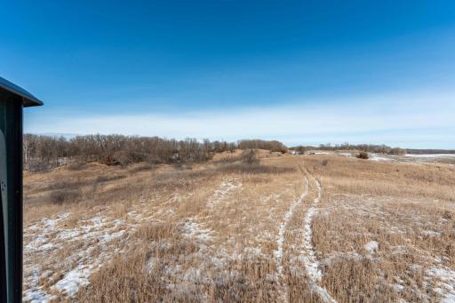 Xxxxx 200th Street, Battle Lake, MN 56515