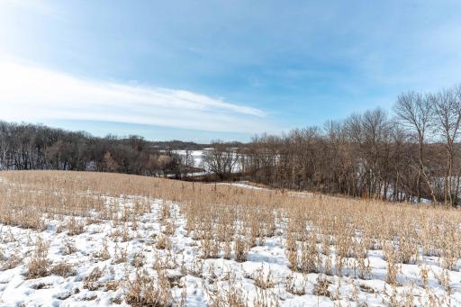 Xxxxx 200th Street, Battle Lake, MN 56515