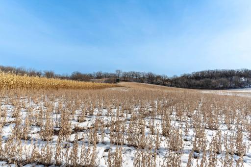 Xxxxx 200th Street, Battle Lake, MN 56515