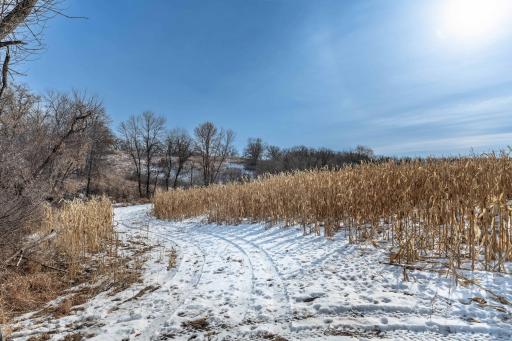 Xxxxx 200th Street, Battle Lake, MN 56515