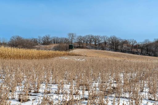 Xxxxx 200th Street, Battle Lake, MN 56515