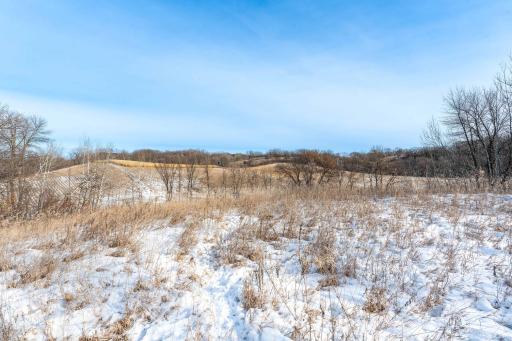 Xxxxx 200th Street, Battle Lake, MN 56515