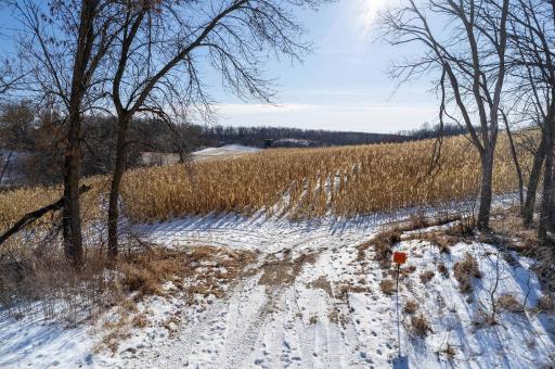 Xxxxx 200th Street, Battle Lake, MN 56515