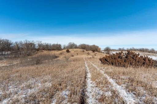 Xxxxx 200th Street, Battle Lake, MN 56515