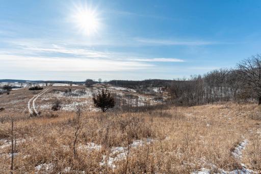 Xxxxx 200th Street, Battle Lake, MN 56515