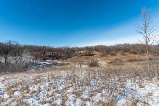 Xxxxx 200th Street, Battle Lake, MN 56515
