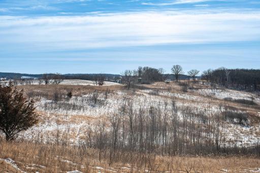 Xxxxx 200th Street, Battle Lake, MN 56515