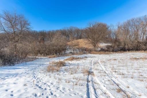 Xxxxx 200th Street, Battle Lake, MN 56515