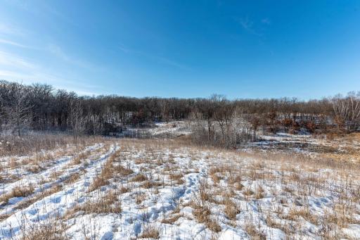 Xxxxx 200th Street, Battle Lake, MN 56515