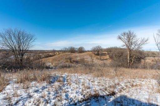 Xxxxx 200th Street, Battle Lake, MN 56515