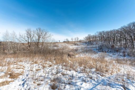Xxxxx 200th Street, Battle Lake, MN 56515