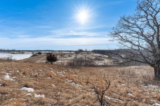 Xxxxx 200th Street, Battle Lake, MN 56515