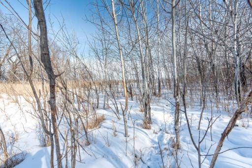 Xxxxx 200th Street, Battle Lake, MN 56515