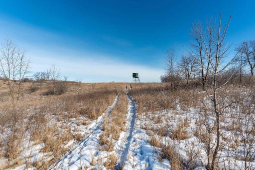Xxxxx 200th Street, Battle Lake, MN 56515