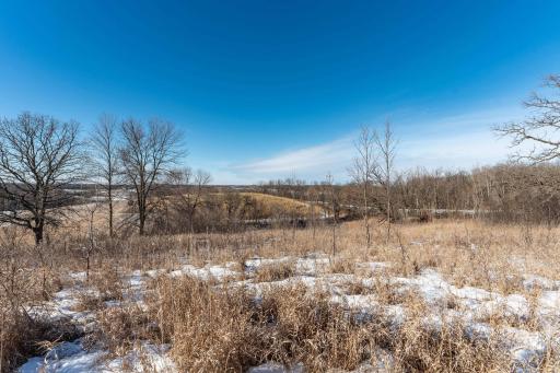 Xxxxx 200th Street, Battle Lake, MN 56515