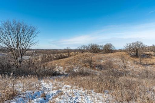 Xxxxx 200th Street, Battle Lake, MN 56515