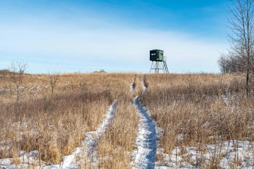 Xxxxx 200th Street, Battle Lake, MN 56515