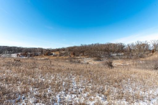 Xxxxx 200th Street, Battle Lake, MN 56515