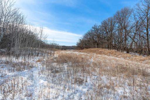 Xxxxx 200th Street, Battle Lake, MN 56515
