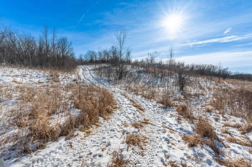 Xxxxx 200th Street, Battle Lake, MN 56515