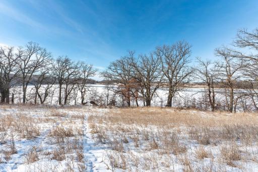 Xxxxx 200th Street, Battle Lake, MN 56515